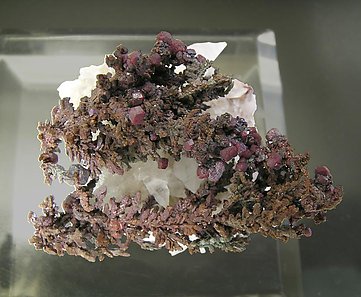 Copper with Cuprite and Calcite. Top