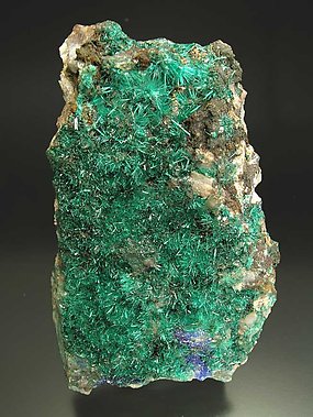 Brochantite with Linarite.