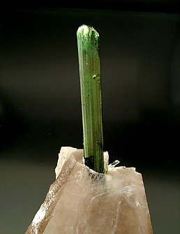 Elbaite on smoky Quartz and Albite. 