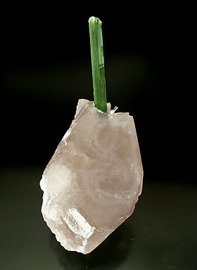 Elbaite on smoky Quartz and Albite. Front