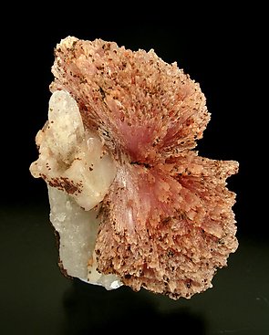 Inesite on Quartz. Front