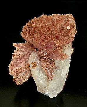 Inesite on Quartz. Rear