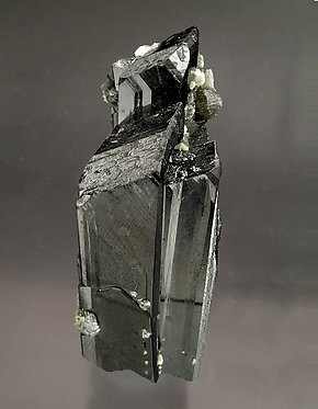 Ferberite with Muscovite, Siderite and Quartz. Side