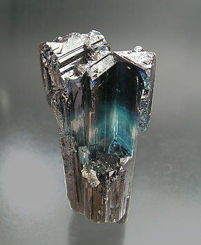 Sceptered Elbaite (indicolite). Rear