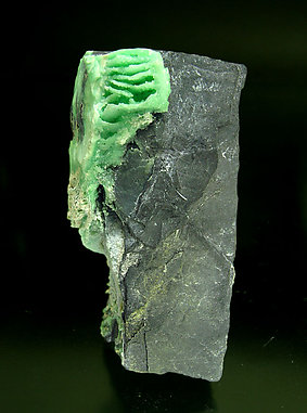 Variscite. 