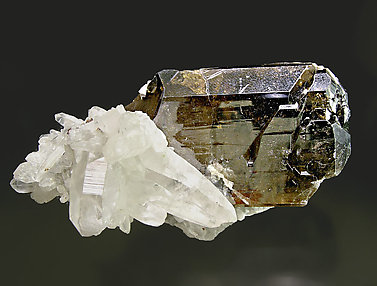 Cassiterite with Quartz. Front