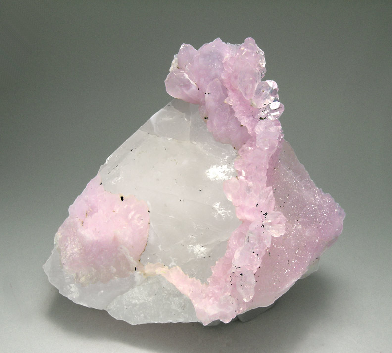 specimens/s_imagesH7/Rose-Quartz-TL70H7f.jpg