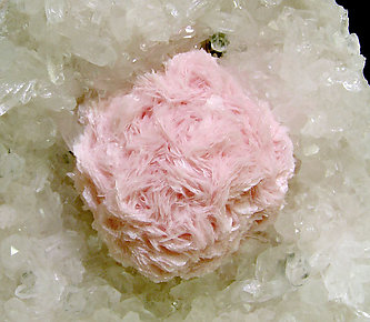 Rhodochrosite on Quartz. 