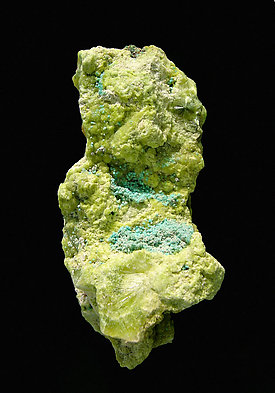 Turquoise (crystallized) with Wavellite. 