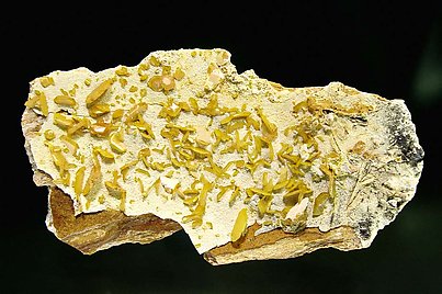 Wulfenite. 