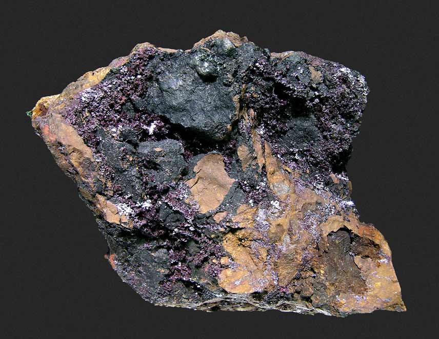 specimens/s_imagesI7/M57AI7f.jpg