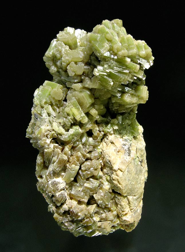 specimens/s_imagesI7/N46DGI7f.jpg