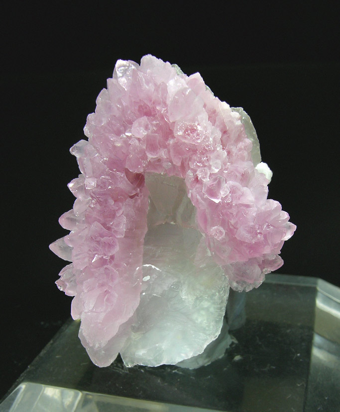 specimens/s_imagesJ0/TR66J0.jpg