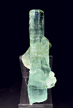 Beryl (variety aquamarine) with Albite.