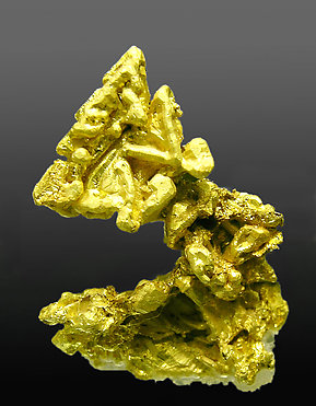 Oro. Vista lateral