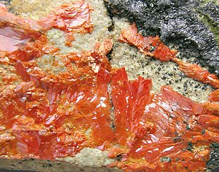 Crocoite with Vauquelinite. 