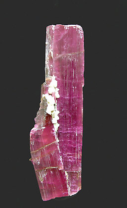 Elbaite (variety rubellite) with Albite.