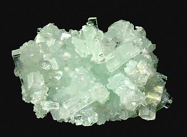 Fluorapophyllite-(K) with Prehnite and Okenite.