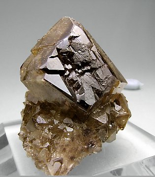 Scheelite with Quartz. Side