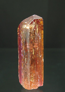 Topacio (variedad imperial). Vista posterior