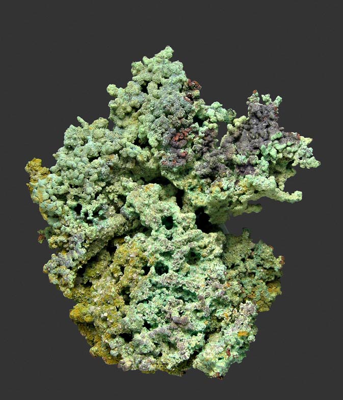 specimens/s_imagesJ8/EB13J8f.jpg