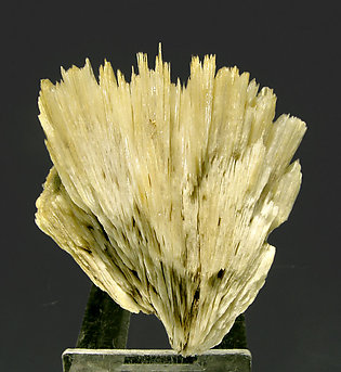 Eudidymite. Front