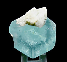 Beryl (variety aquamarine) with Albite and Schorl. Top