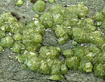 Andradite (variety demantoid). 