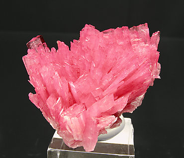 Rhodonite.