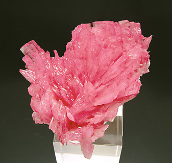 Rhodonite. Top