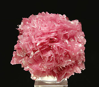 Rhodonite with Quartz. 