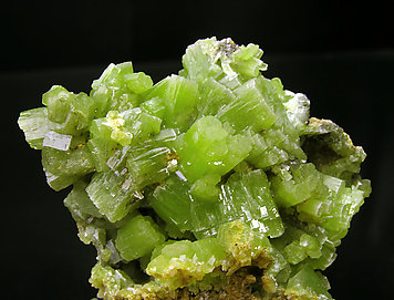 Pyromorphite. 