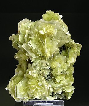 Muscovite.