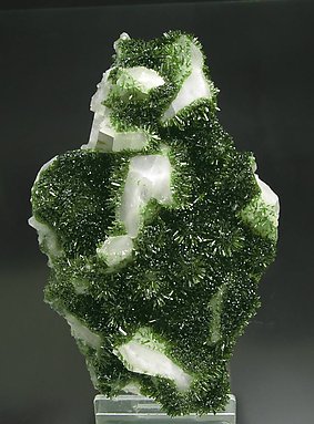 Epidote with twinned Calcite. 