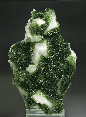 Epidote with twinned Calcite.