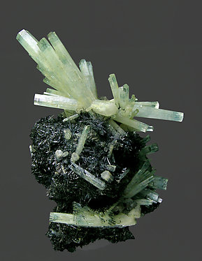 Beryl (variety aquamarine) with Schorl. Front