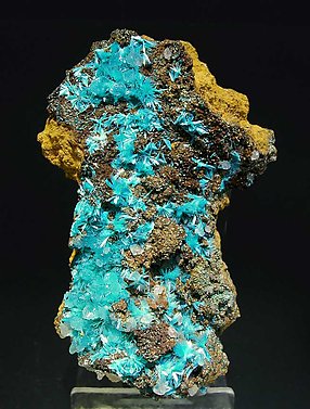 Aurichalcite with Limonite. 