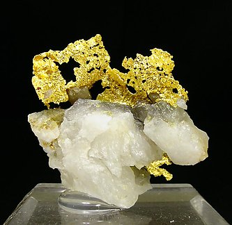 Gold on Quartz. Rear