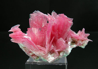 Rhodonite with Calcite. 