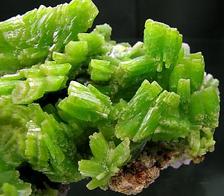 Pyromorphite. 