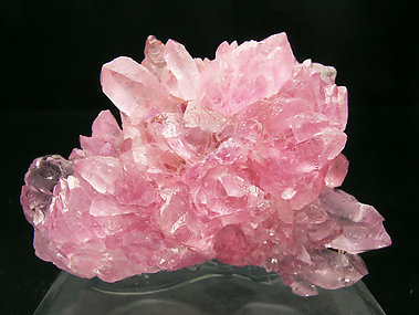 Quartz (variety rose). 