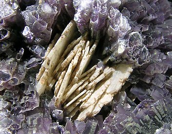 'lepidolite' with Clevelandite. 