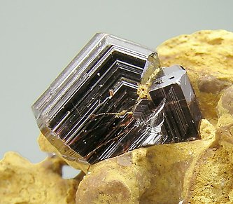 Twinned Rutile. 