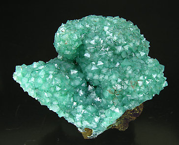 Adamite (variety cuprian).