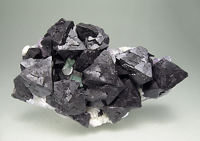 Octahedral Fluorite with Bertrandite and Fluorapatite.