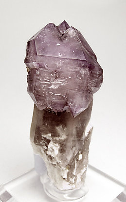 Quartz (variety amethyst) "scepter" with smoky Quartz and Albite. Front