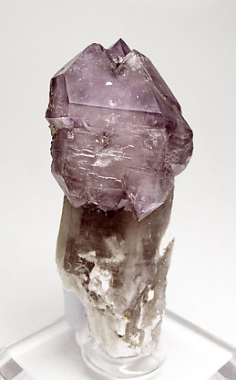 Quartz (variety amethyst) "scepter" with smoky Quartz and Albite.