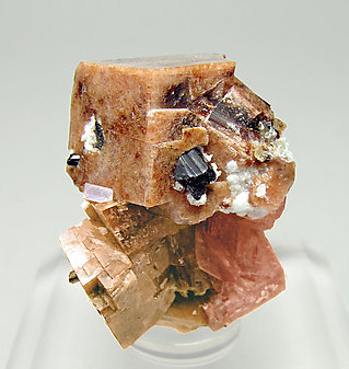 Rhodochrosite with Analcime and Aegirine.