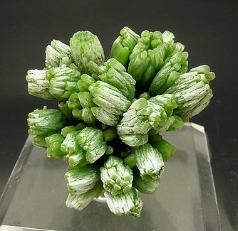 Pyromorphite. 