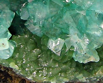 Adamite (variety cuprian). 